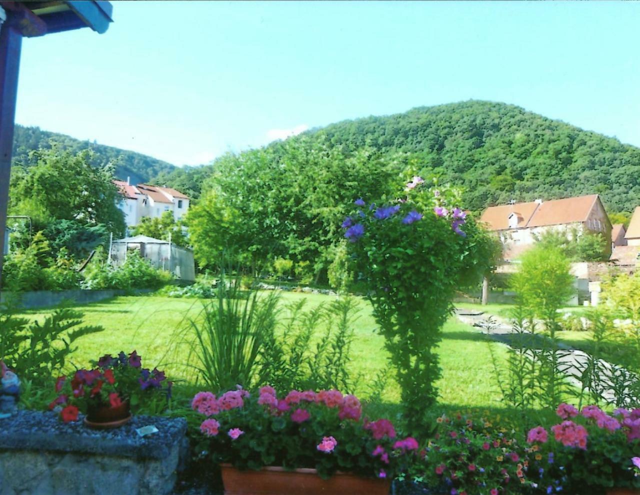 Ferienwohnung Bergblick - Inklusive Bodetal Therme Thale Exterior foto